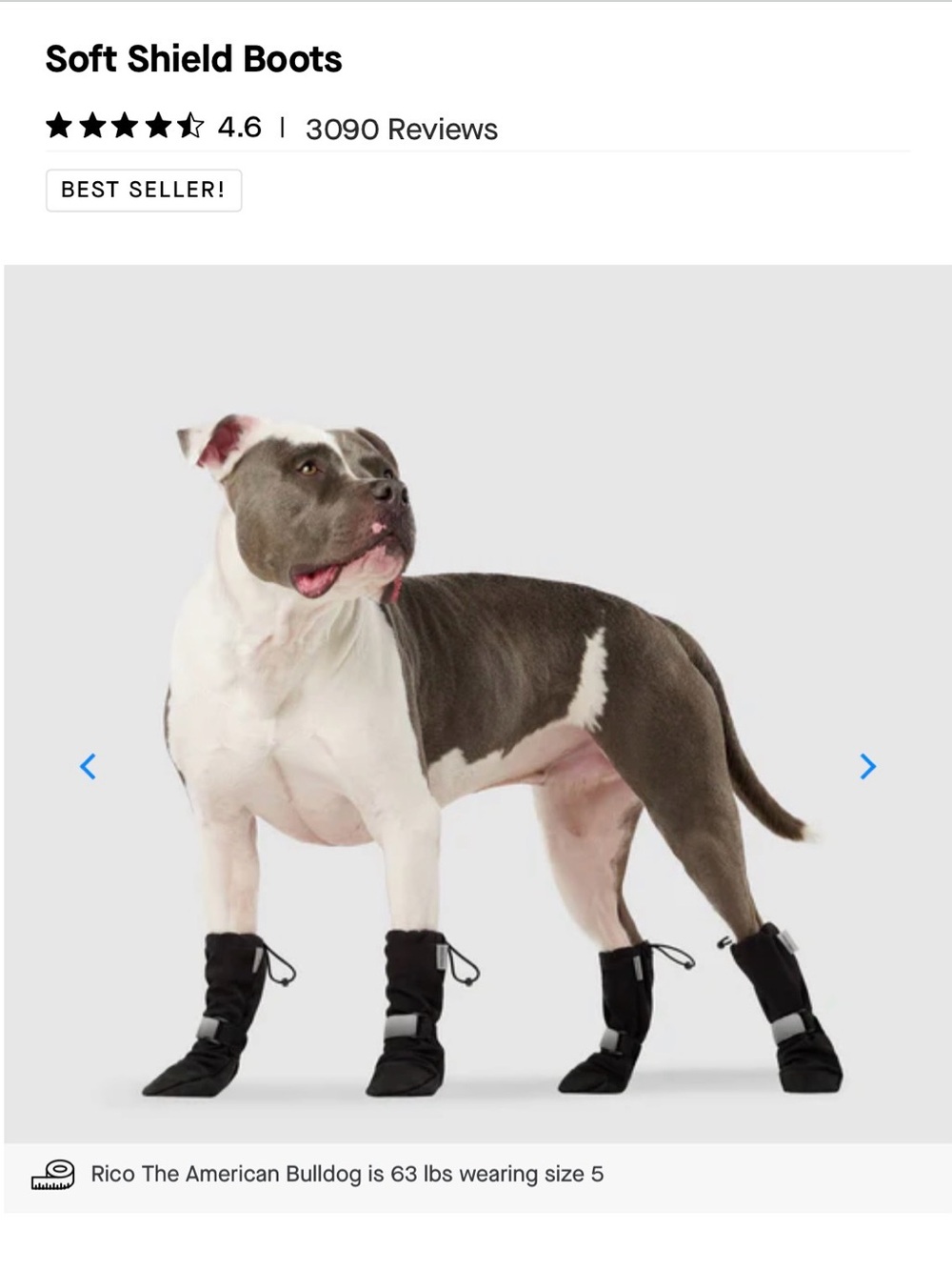 Canada Pooch Size 1 Dog Bootirs